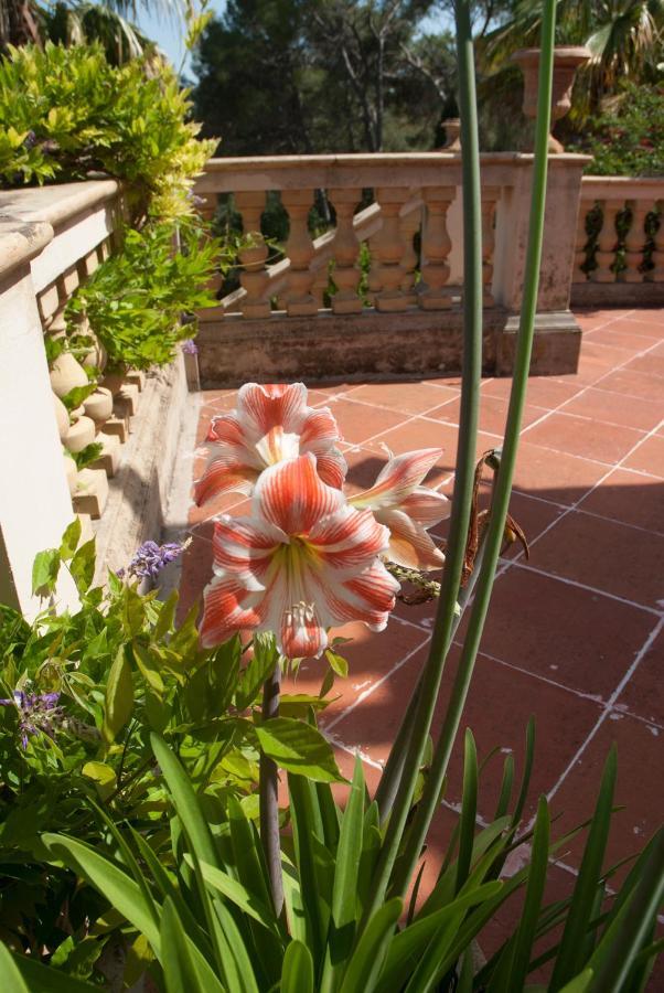 Casa De Las Vistas Пальма-де-Майорка Экстерьер фото